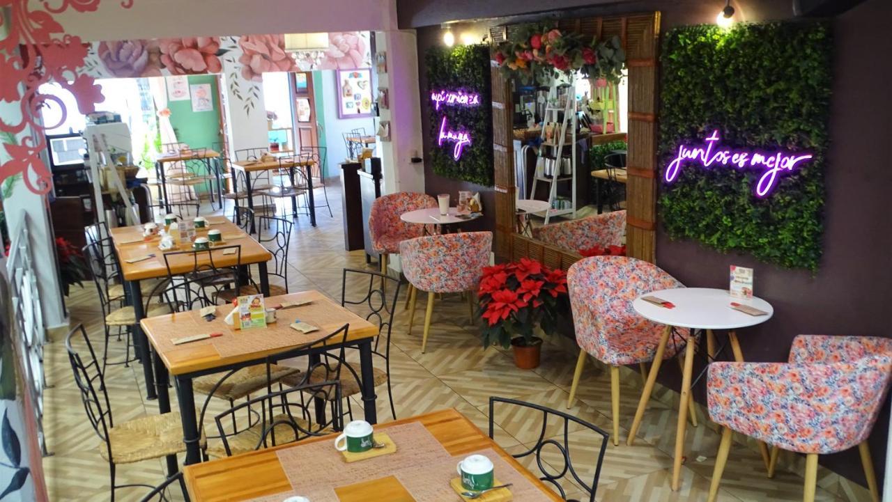 Hotel Jardines Del Centro San Cristóbal de Las Casas 외부 사진
