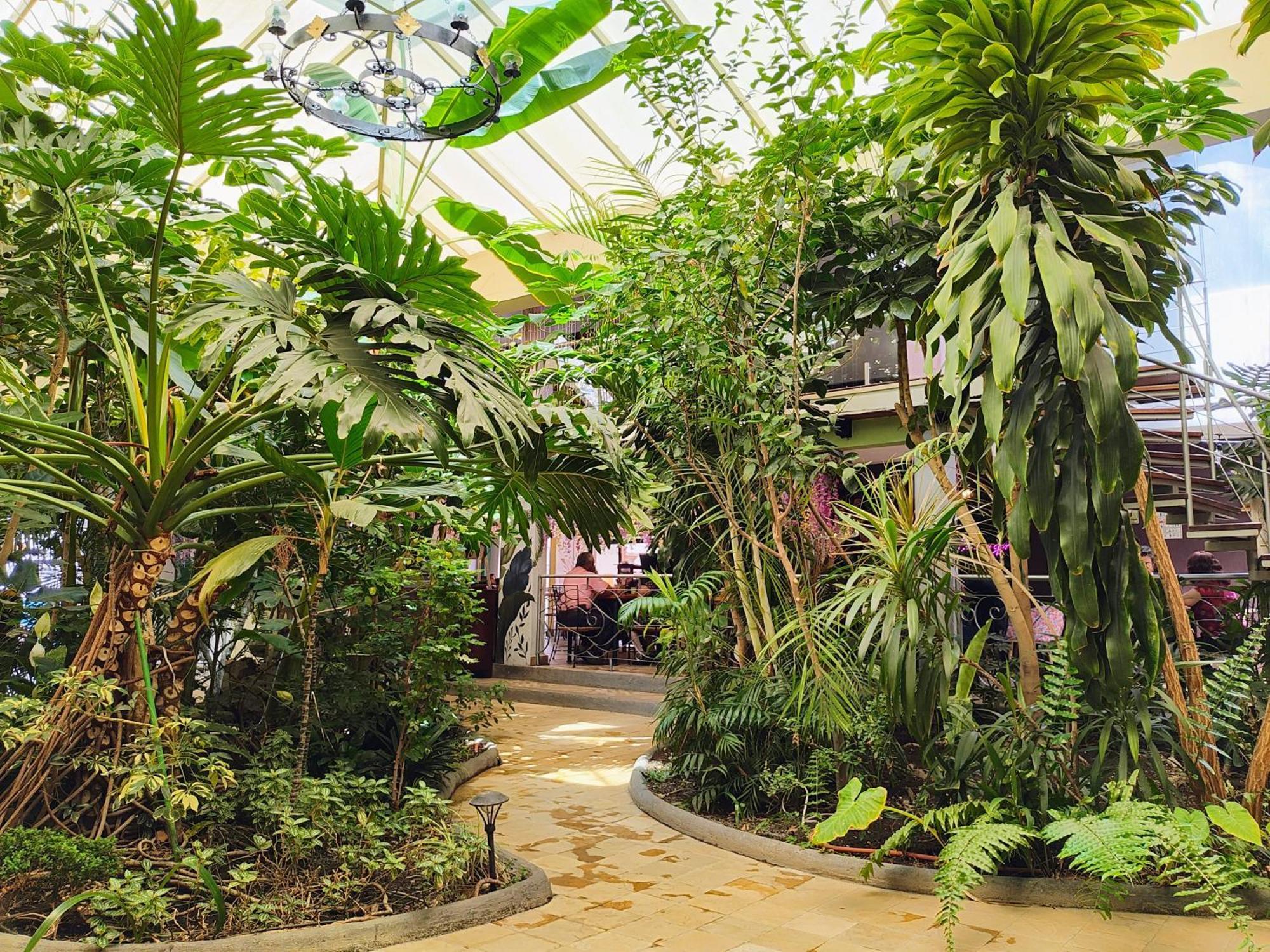 Hotel Jardines Del Centro San Cristóbal de Las Casas 외부 사진