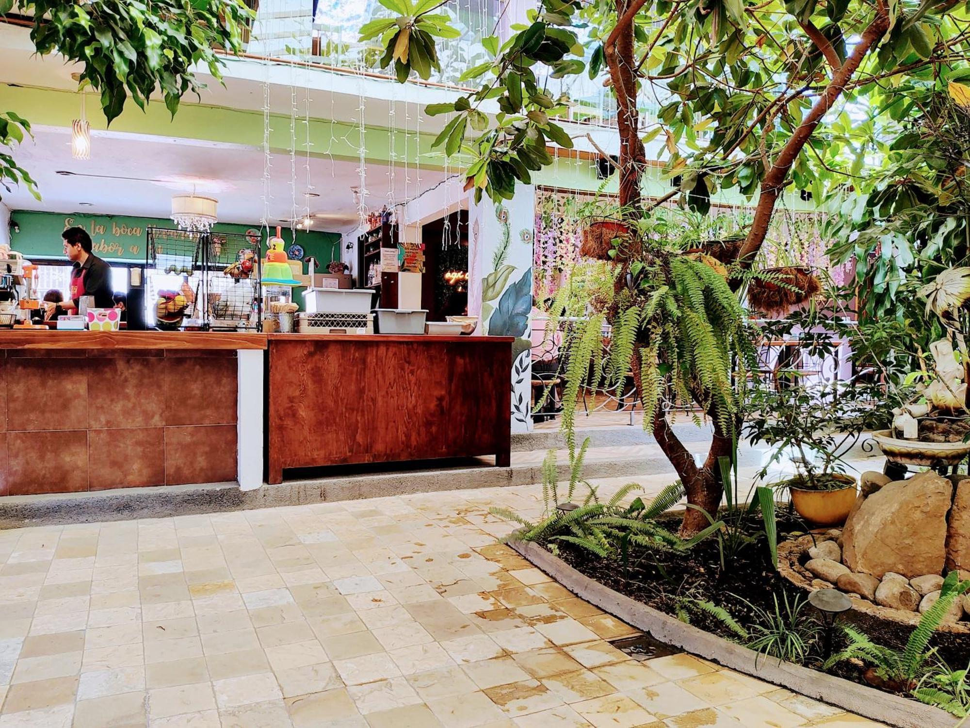 Hotel Jardines Del Centro San Cristóbal de Las Casas 외부 사진