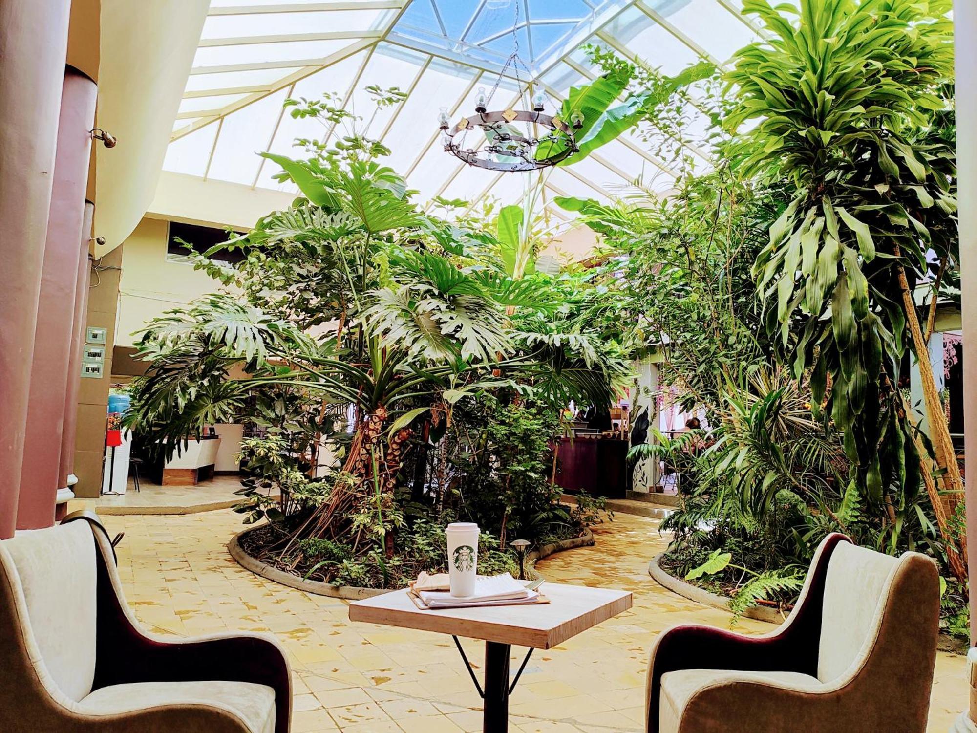 Hotel Jardines Del Centro San Cristóbal de Las Casas 외부 사진